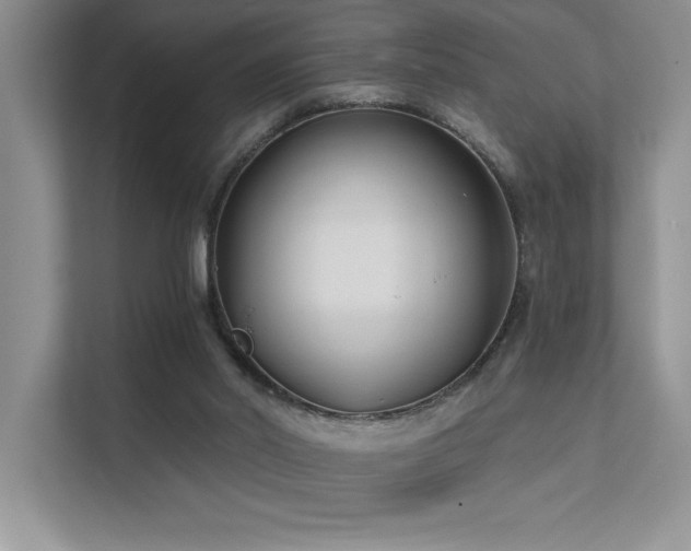 X0000111670014200907171623