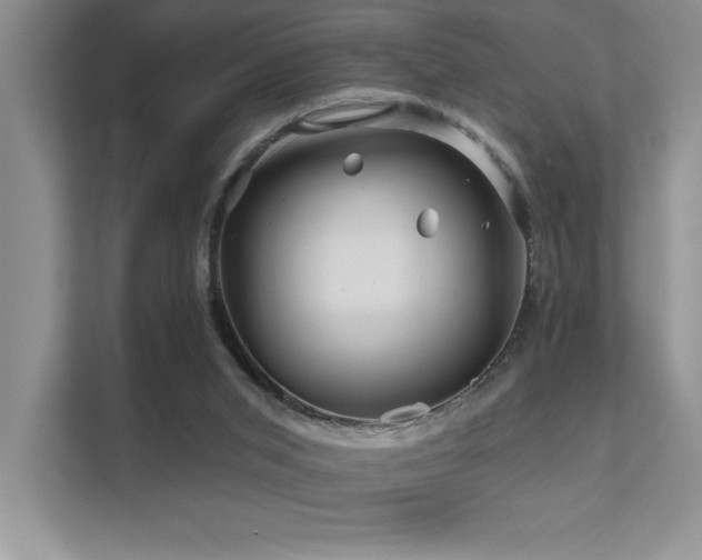 X0000111670015200907171623