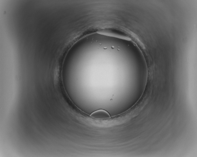 X0000111670018200907171623