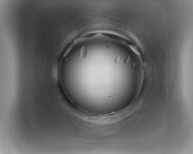 X0000111670023200907171623