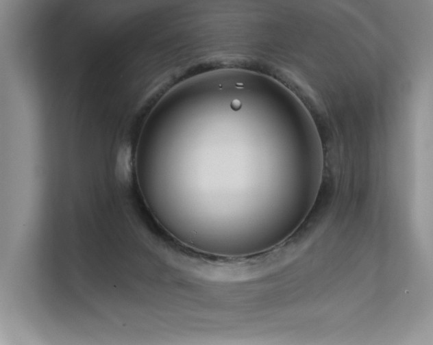 X0000111670024200907171623