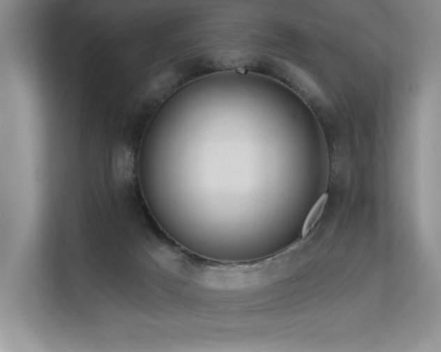 X0000111670025200907171623