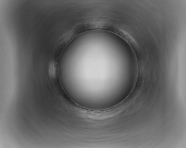 X0000111670026200907171623