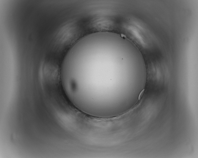 X0000111670029200907171622