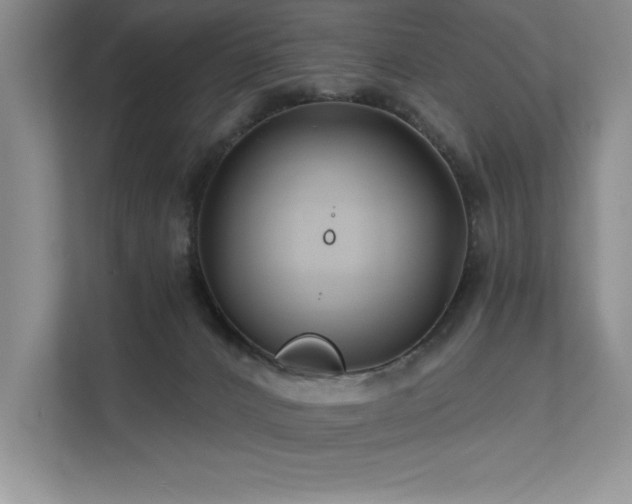 X0000111670032200907171622