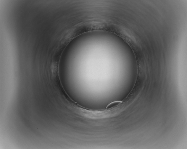 X0000111670034200907171622