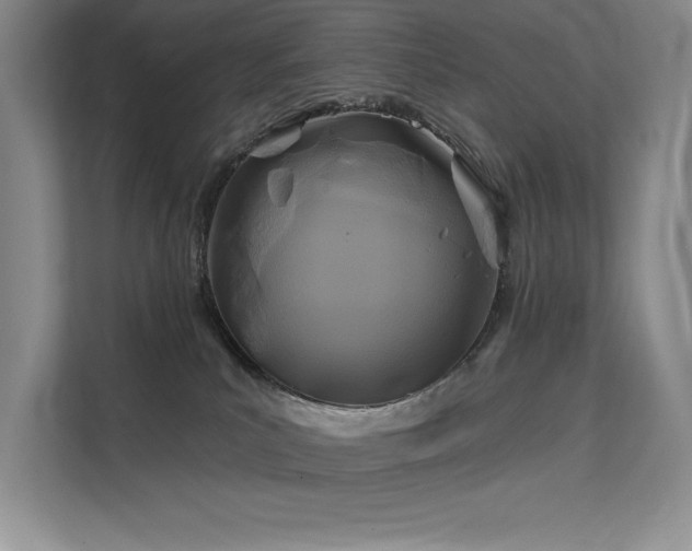 X0000111670039200907171622