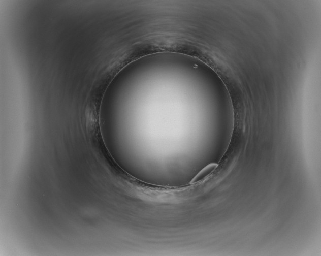 X0000111670040200907171622