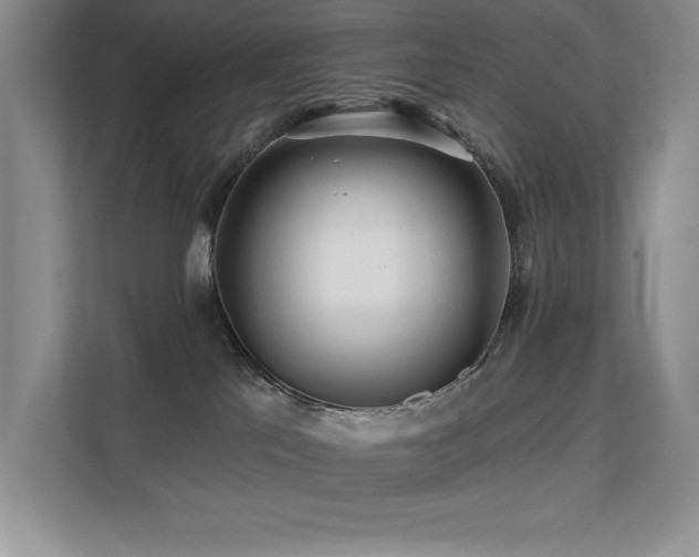 X0000111670041200907171622