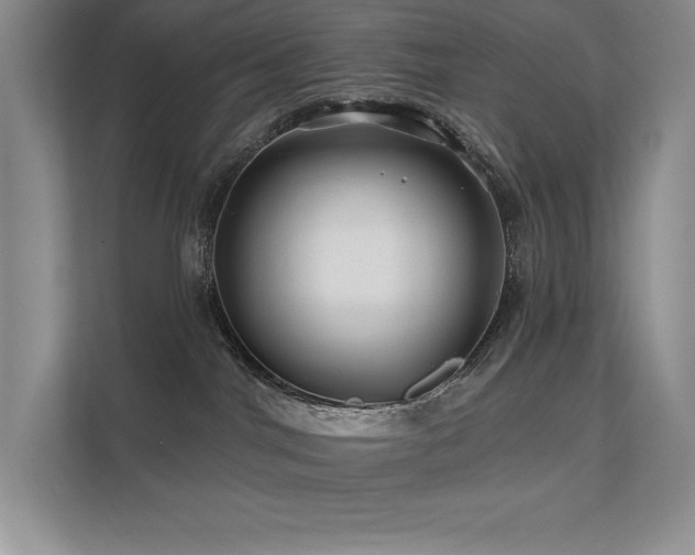 X0000111670044200907171622