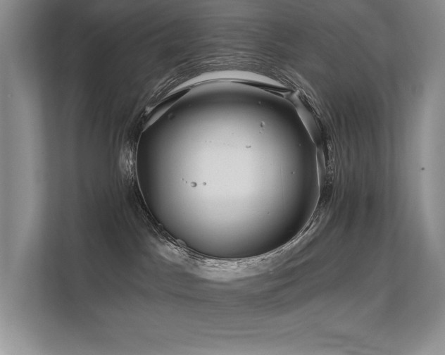 X0000111670045200907171622