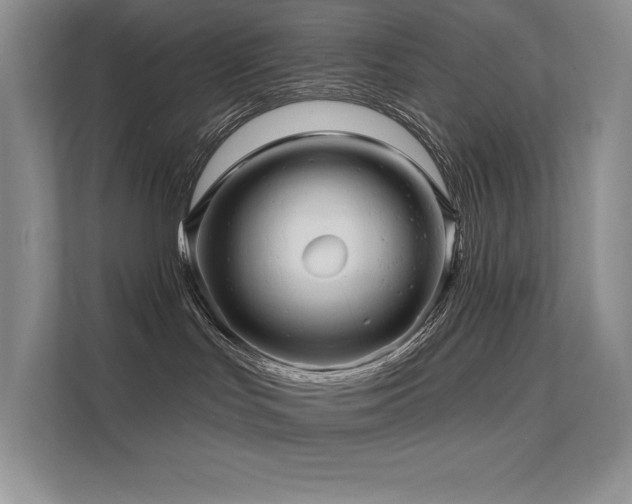 X0000111670047200907171622