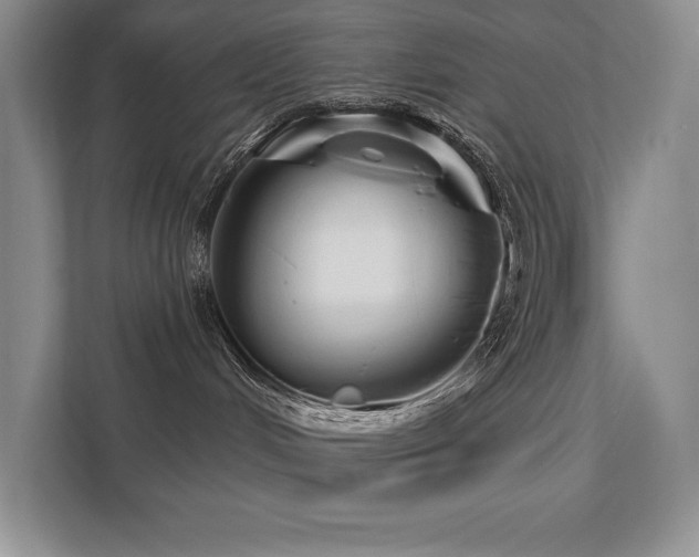 X0000111670048200907171622