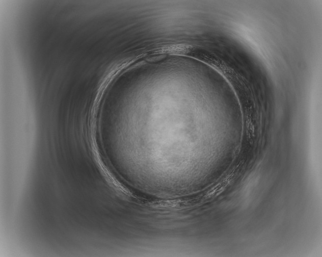 X0000111670049200907171622