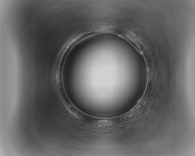 X0000111670050200907171622