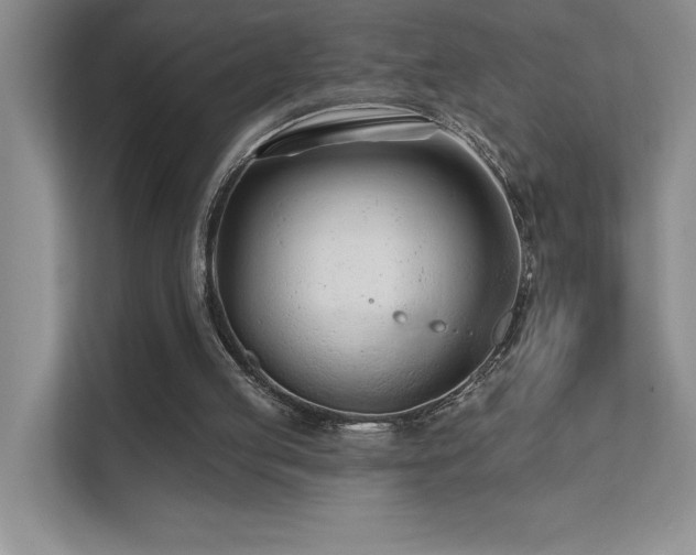 X0000111670053200907171622