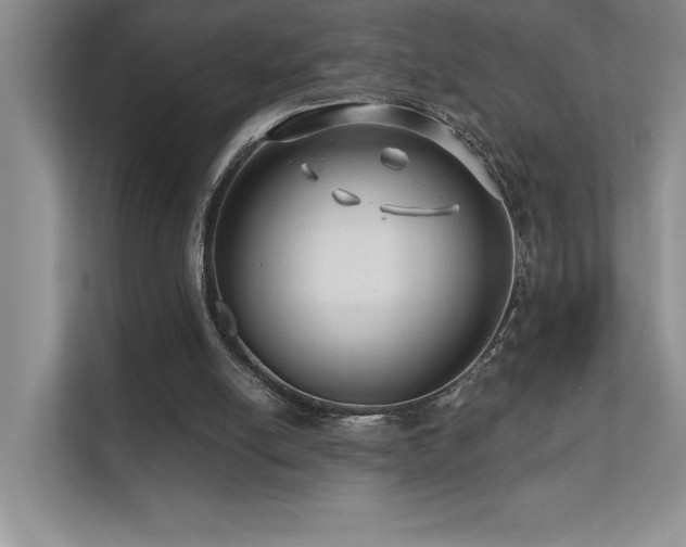 X0000111670054200907171622