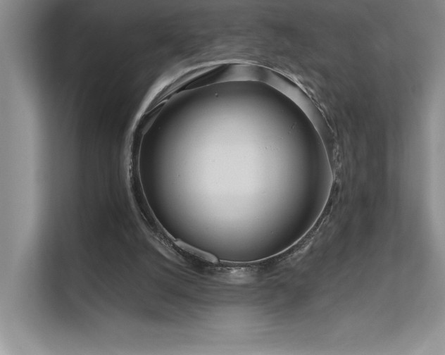 X0000111670056200907171622