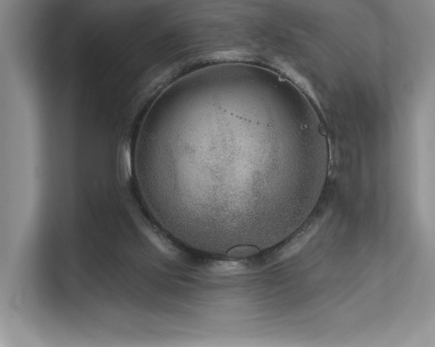 X0000111670061200907171622