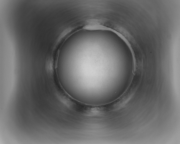 X0000111670064200907171622