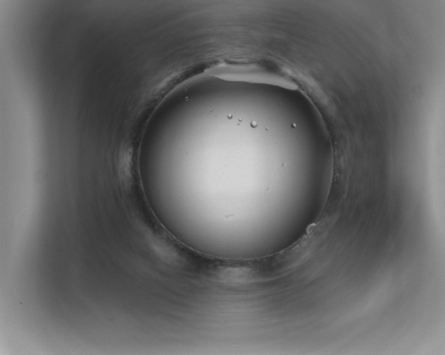 X0000111670066200907171622