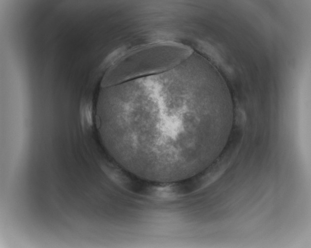 X0000111670068200907171622