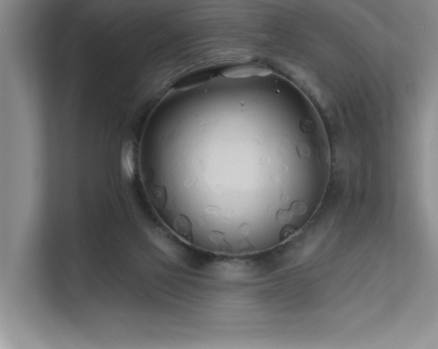 X0000111670069200907171622