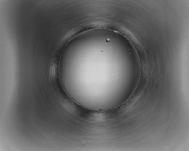 X0000111670071200907171622