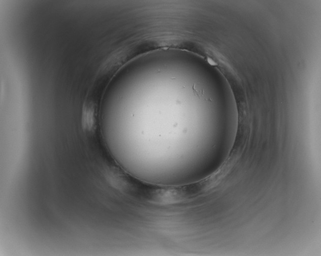 X0000111670074200907171622