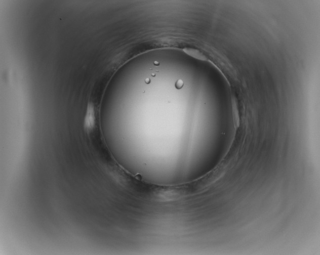 X0000111670075200907171622