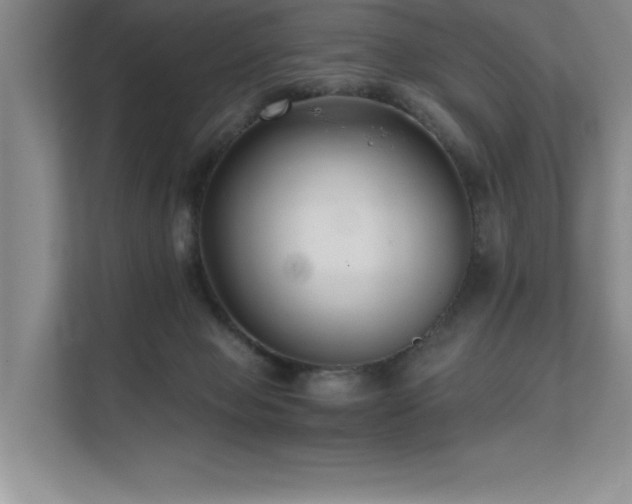 X0000111670077200907171622