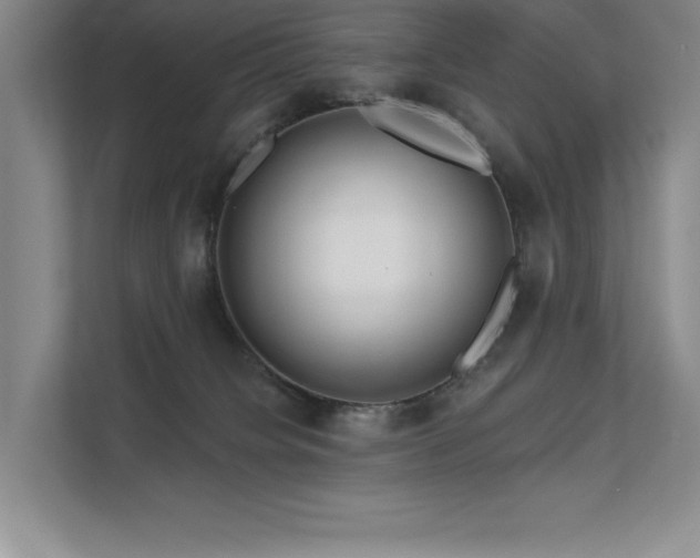 X0000111670084200907171622