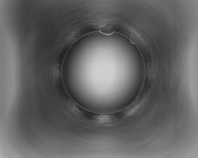 X0000111670085200907171622