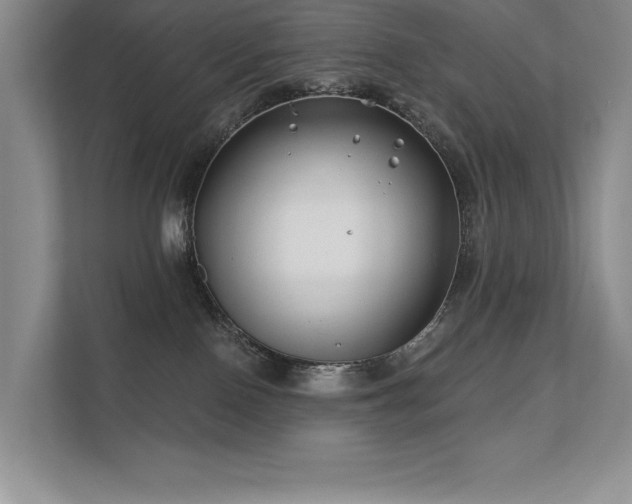 X0000111670090200907171622