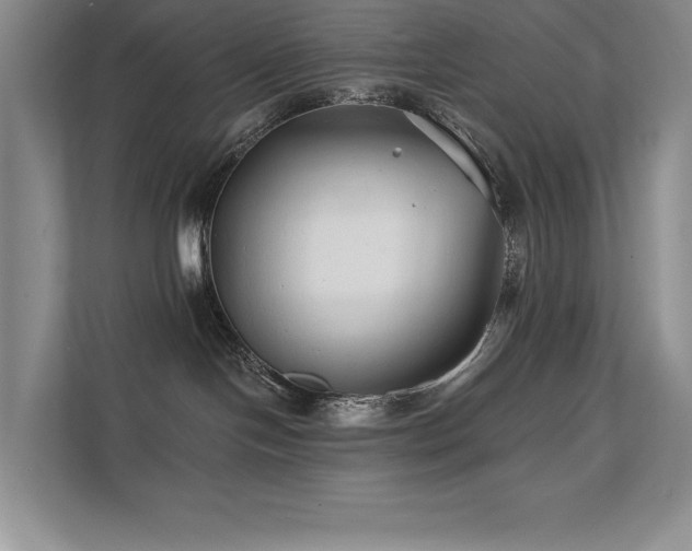 X0000111670094200907171622