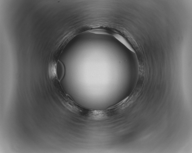 X0000111670095200907171622