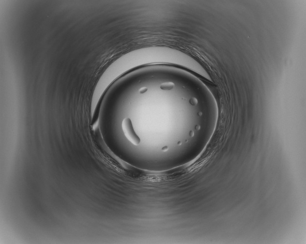 X0000111670096200907171622