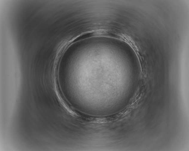 X0000111670097200907171622