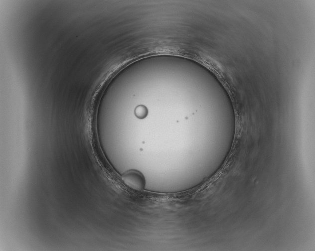 X0000111670098200907171622