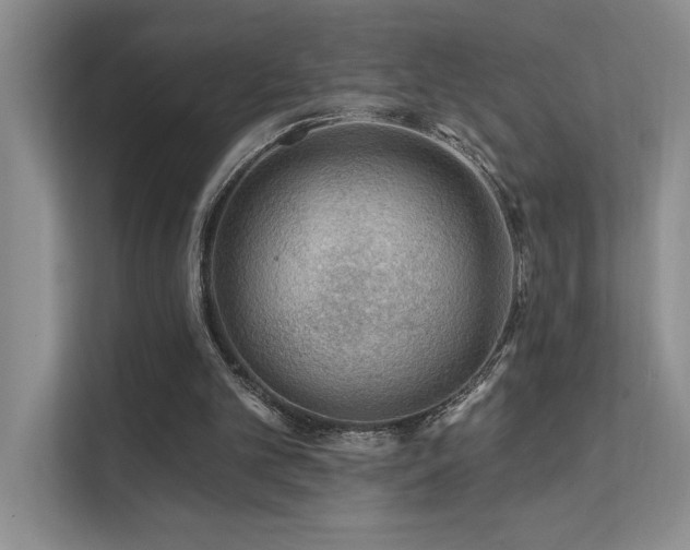 X0000111670101200907171622