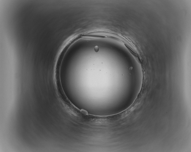 X0000111670104200907171622