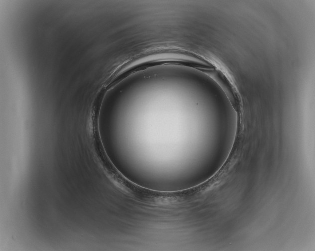 X0000111670105200907171621