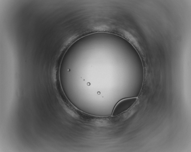 X0000111670106200907171621