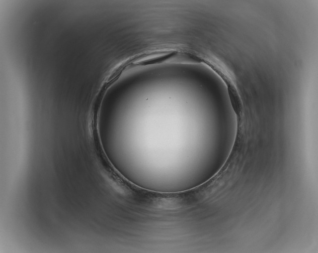 X0000111670107200907171621