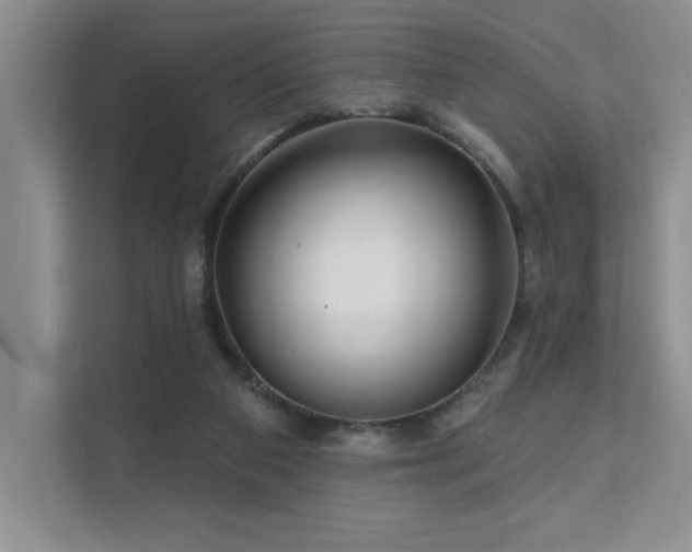 X0000111670113200907171621