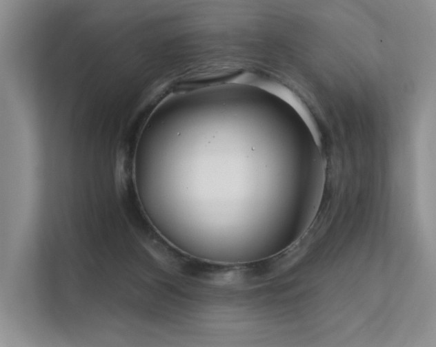 X0000111670116200907171621