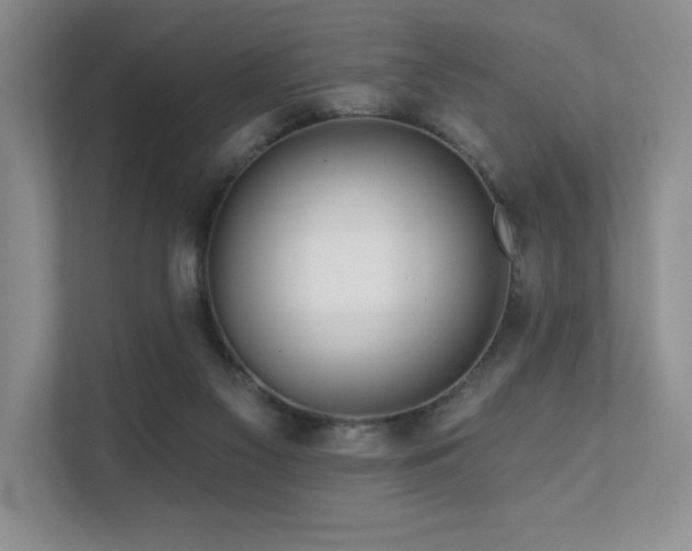 X0000111670117200907171621