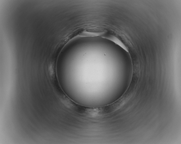 X0000111670131200907171621