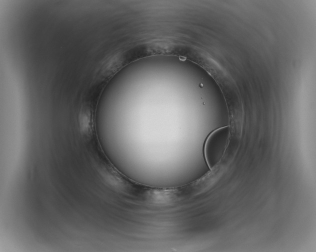 X0000111670134200907171621