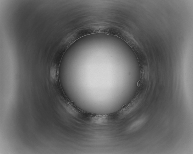 X0000111670138200907171621